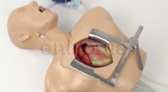 НОВИНКА // Розширений тренажер команди перфузії ECMO