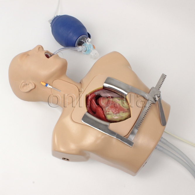 НОВИНКА // Розширений тренажер команди перфузії ECMO