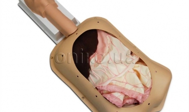 NOVINKA // Pokročilý trenažér břišní chirurgie AST s pokročilými orgány