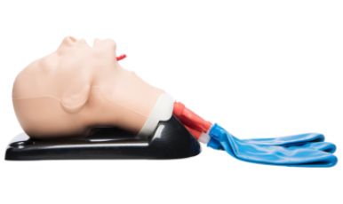 NEW // Adult Airway Management Training Manikin