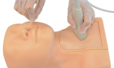 NEW // Ultrasound Guided Tube Feeding Phantom