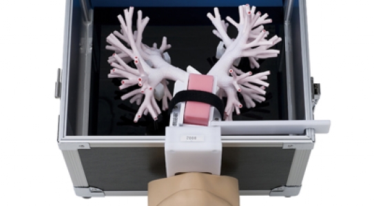 New in Endoscopy