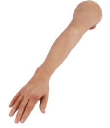 NEW // Hyperrealistic IV training arm