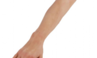 NEW // Hyperrealistic IV training arm