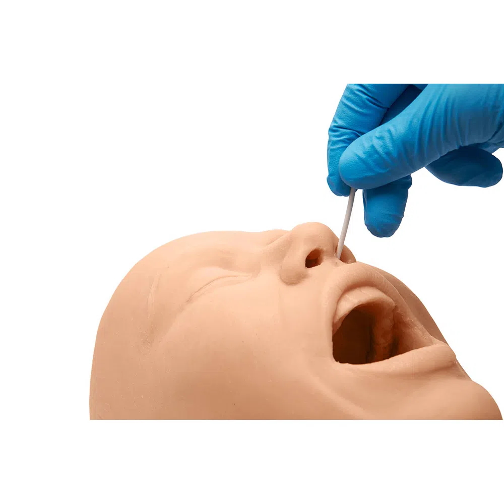NEW // Oral and Nasal Swab Simulator