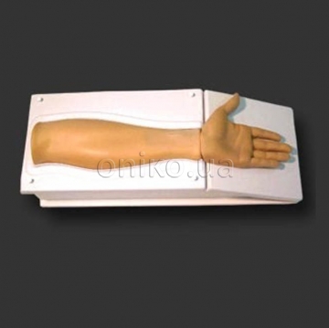 Тренажер променевої артерії для ендоваскулярних процедур