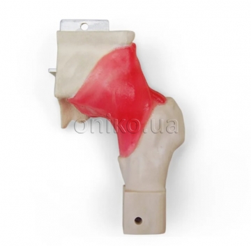 Тренажер контрактури Дюпюїтрена