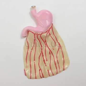 Хірургічний шлунок SAM