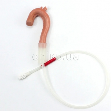 Хірургічна аорта SAM