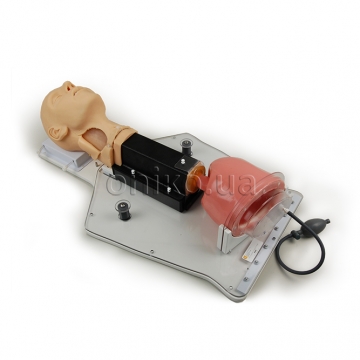 Тренажер трансорального доступу