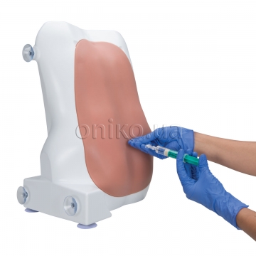 Epidural and Spinal Injection Trainer