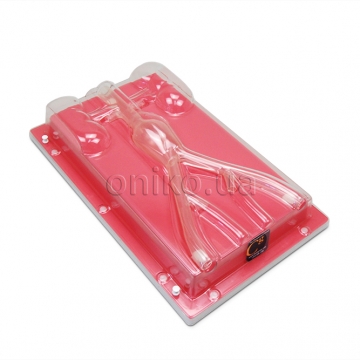 Тренажер AAA (аневризма черевної аорти)