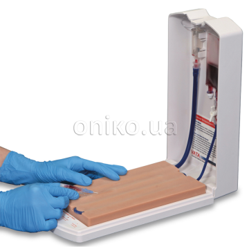 Advanced Four-Vein Venipuncture Training Aid