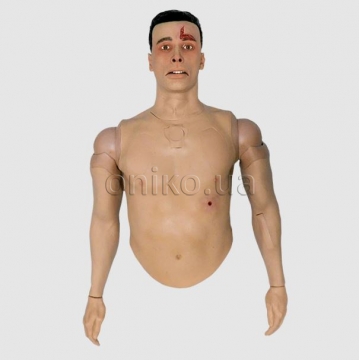 Trenažér horní části lidského těla