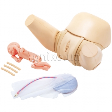 Vaginal Delivery Assistance Simulator