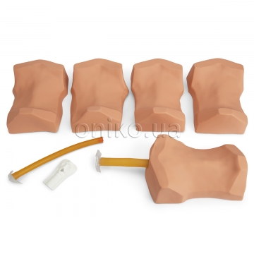 Cricothyrotomy Simulator