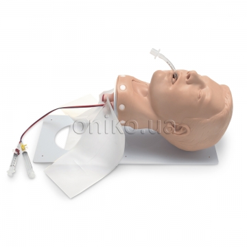 Adult Deluxe Airway Management Trainer with Board