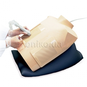 Simulátor perikardiocentézy pod ultrazvukovým dohledem