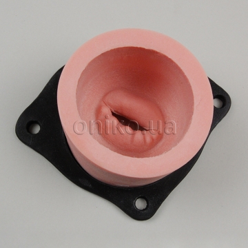 Тренажер пролапсу мітрального клапана