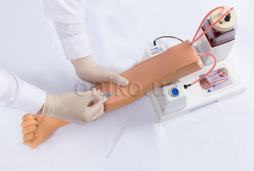 Intravenous Injection Training Arm Model
