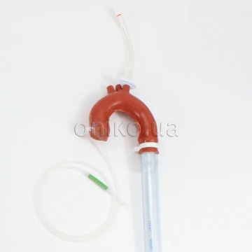 Змінна аорта з можливістю канюляції