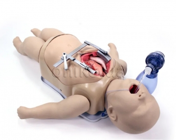 Тренажер Surgical Sam