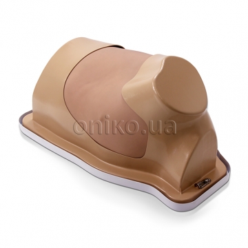 Тренажер відеоасистованої торакоскопічної операції з біоміметичною легенею