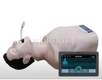 CPR & Airway Management Training Model