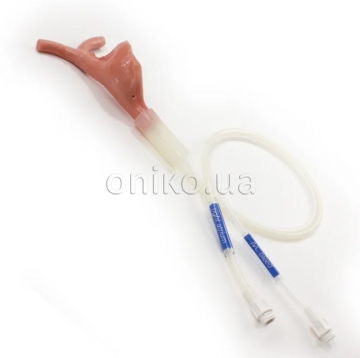 Праве передсердя для тренажера Surgical Sam