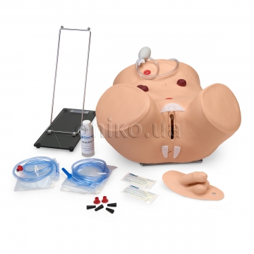 Advanced Patient Care Male and Female Catheterization Simulator