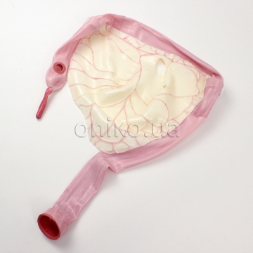 Модуль товстої кишки з мезоколоном для компактної AST