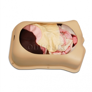 Тренажер абдомінальної хірургії AST з оригінальними органами