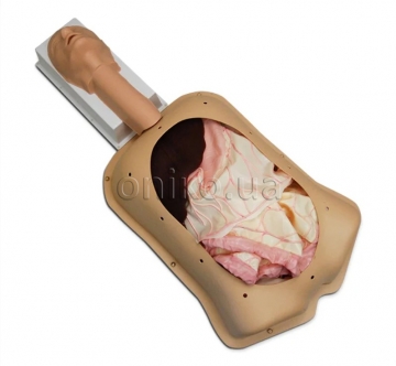 Розширений тренажер абдомінальної хірургії Advanced AST з розширеними органами