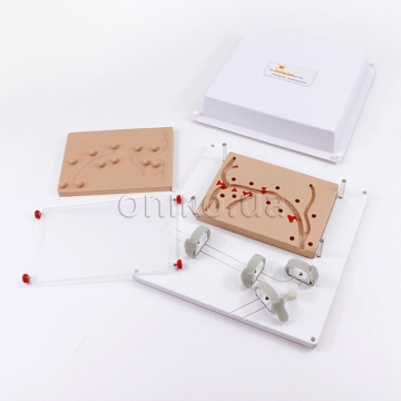 Тренажер для біліарної ендоскопії