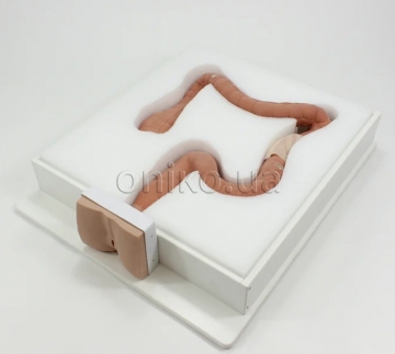 Тренажер для колоноскопії