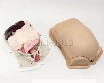 Компактний тренажер для абдомінальної хірургії