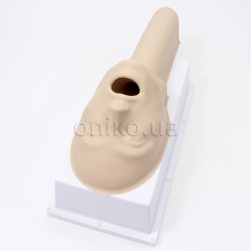 Модуль голови та стравоходу