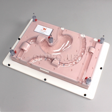 Тренажер для ендоскопії