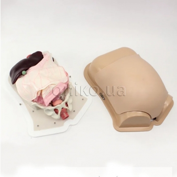 Компактний тренажер абдомінальної хірургії (AST)