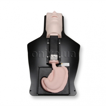 Тренажер для верхнього відділу шлунково-кишкового тракту