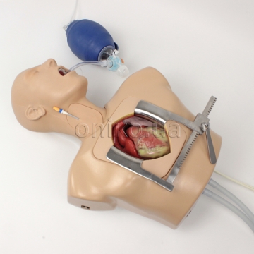 Покращений командний тренажер перфузії ECMO