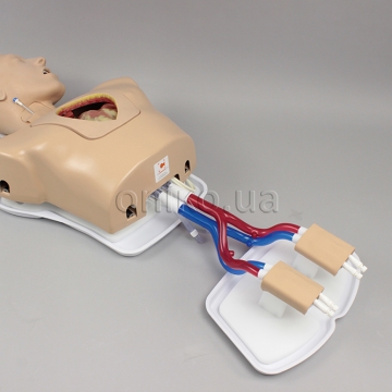 Модуль феморального доступу