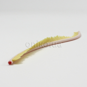 Шунтові судини