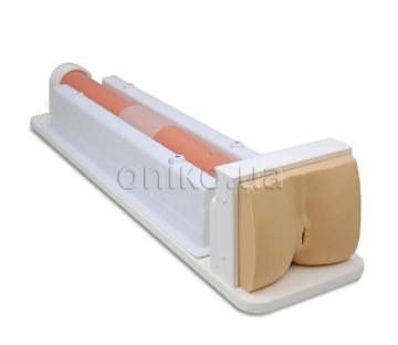 Тренажёр колоноскопии