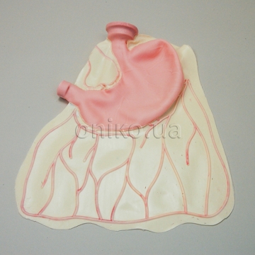 Просунута модель шлунка AST