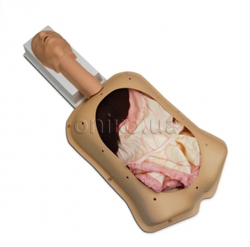 Просунутий тренажер абдомінальної хірургії AST з просунутими органами