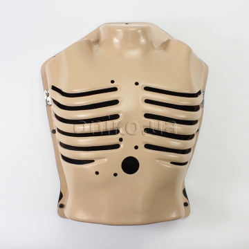 Модель грудної клітки з рухомими ребрами (руки вгору)