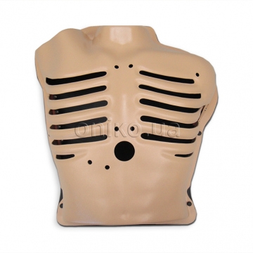 Модель грудної клітки з рухомими ребрами