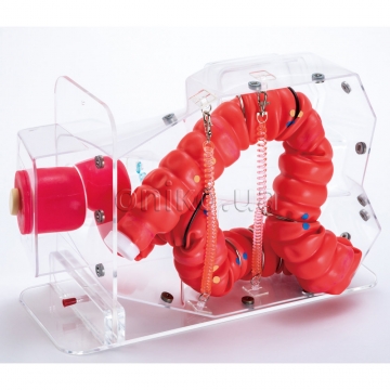3D симулятор колоноскопії