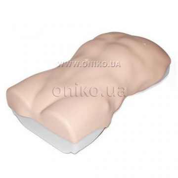 Abdominal Examination Trainer